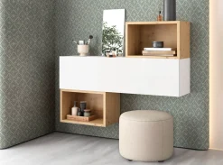 MODELO AULON-C