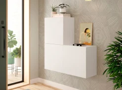 MODELO AULON-F