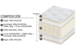 MODELO EVORA