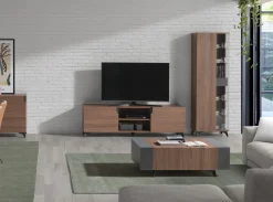 MODELO GUNTERS-A