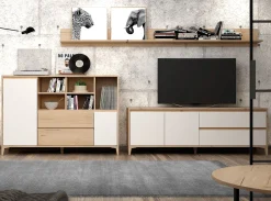 MODELO IDUN-C