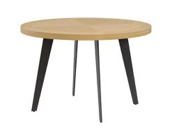MODELO OLIENA