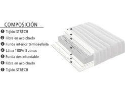 MODELO PAUTO