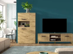 MODELO RIBON-C
