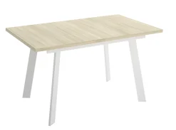 MODELO RIBON-F