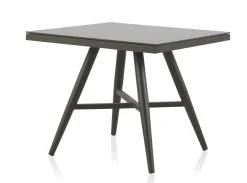 MODELO SIRIUS