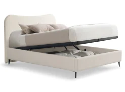MODELO TENANG